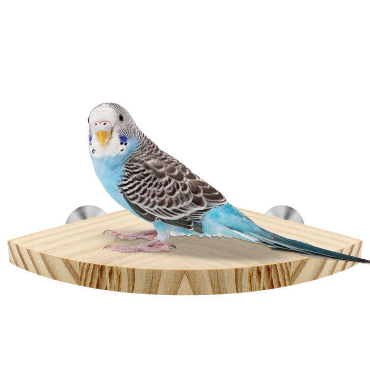 Bird cage cheap platform